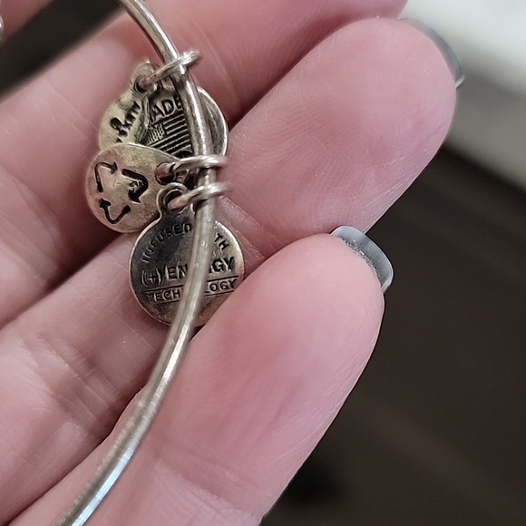 Alex and Ani Gold and Silver Anchor & Lifebuoy Charm Expandable Bangle Set - Picture 11 of 12